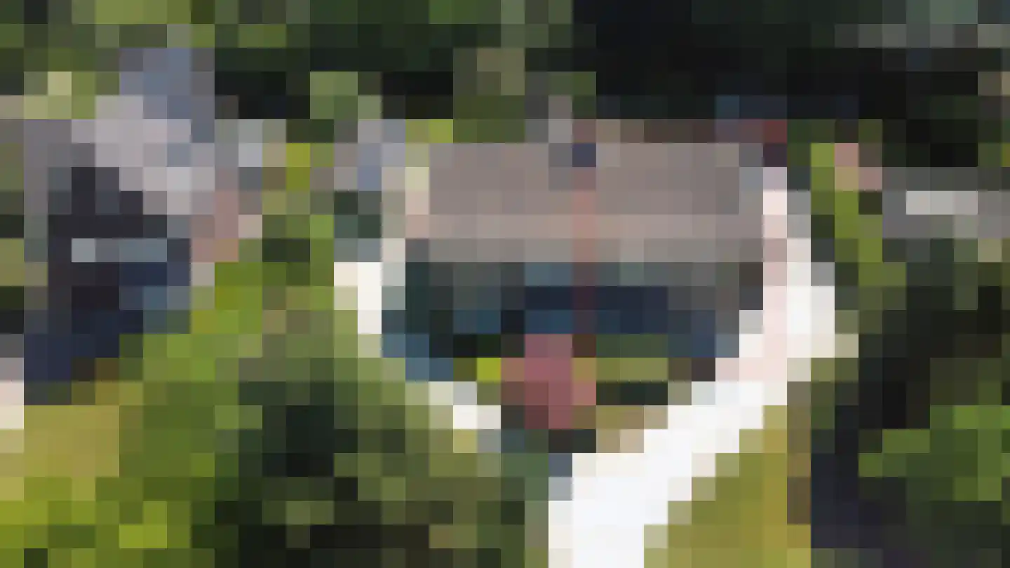 Kastanjelaan 12 Sittard thumbnail 13