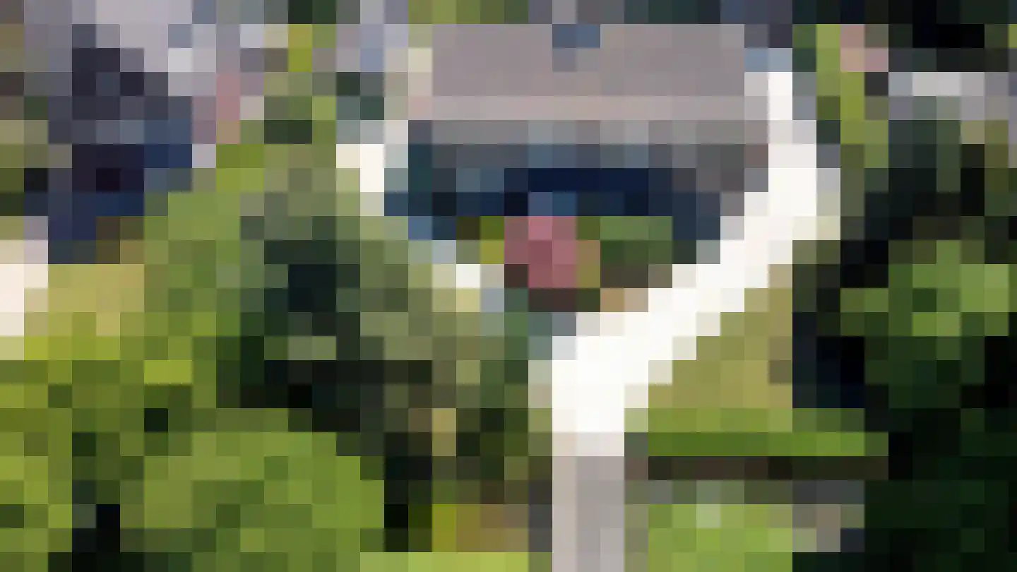 Kastanjelaan 12 Sittard thumbnail 14
