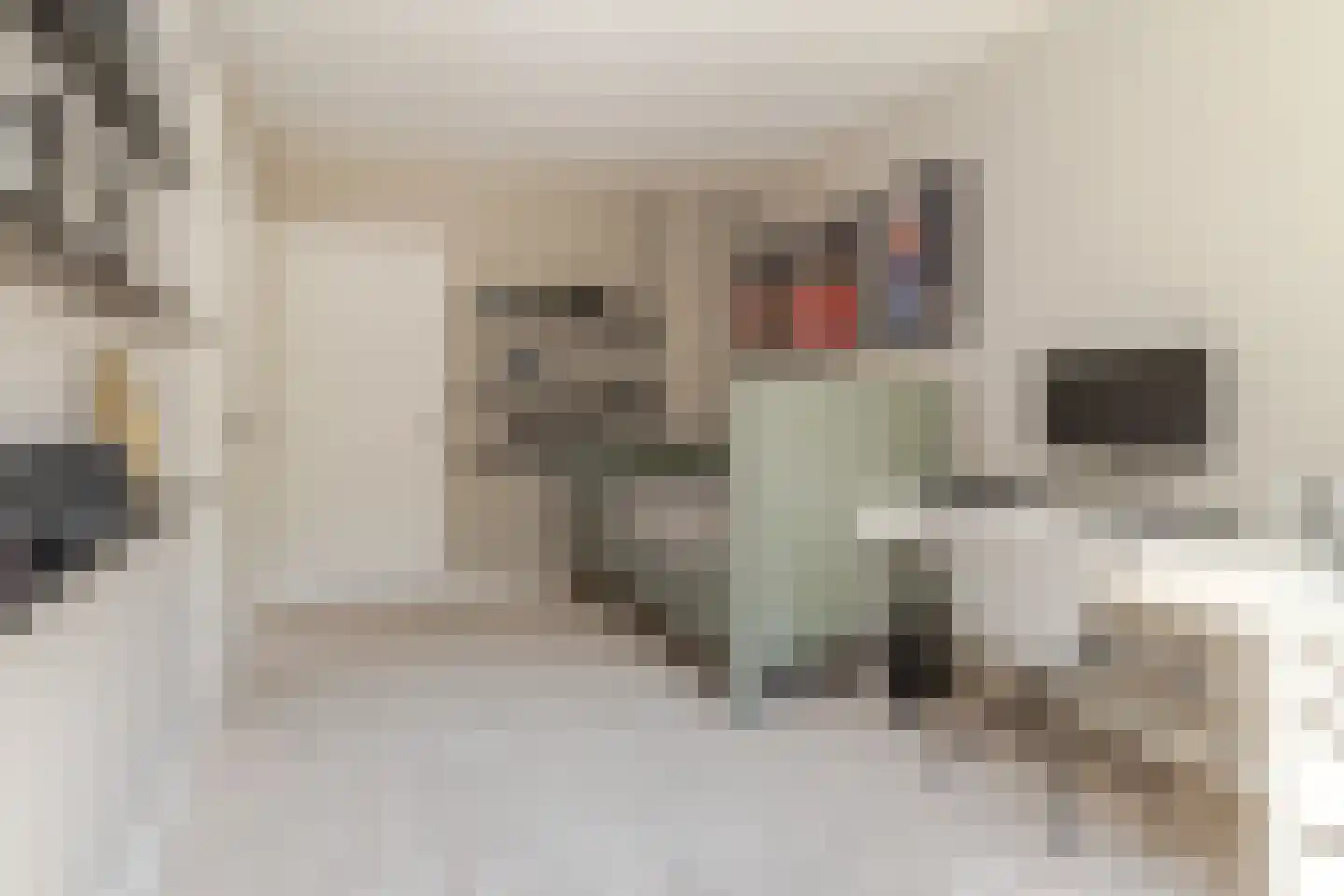 Kastanjelaan 12 Sittard thumbnail 36