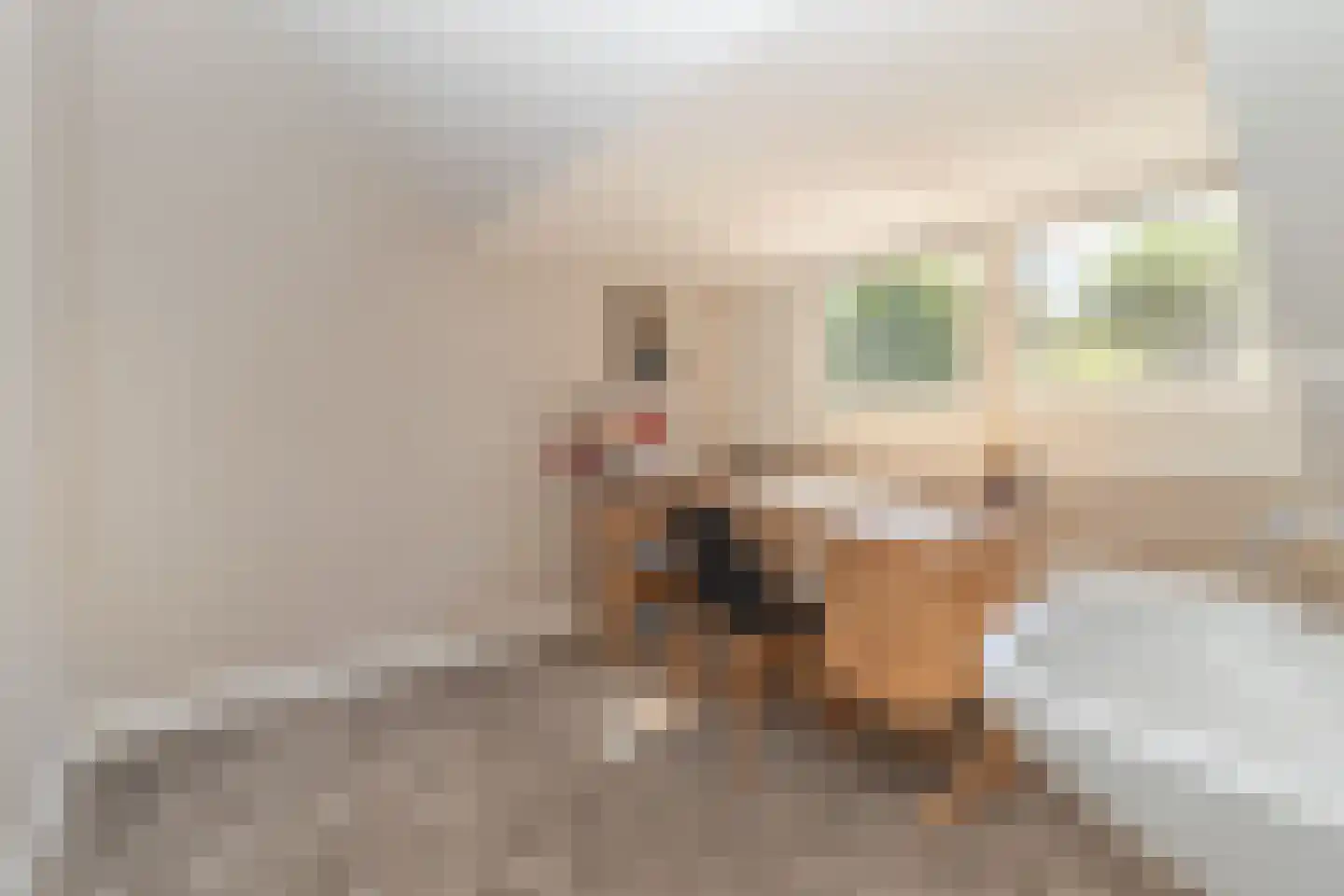 Kastanjelaan 12 Sittard thumbnail 50
