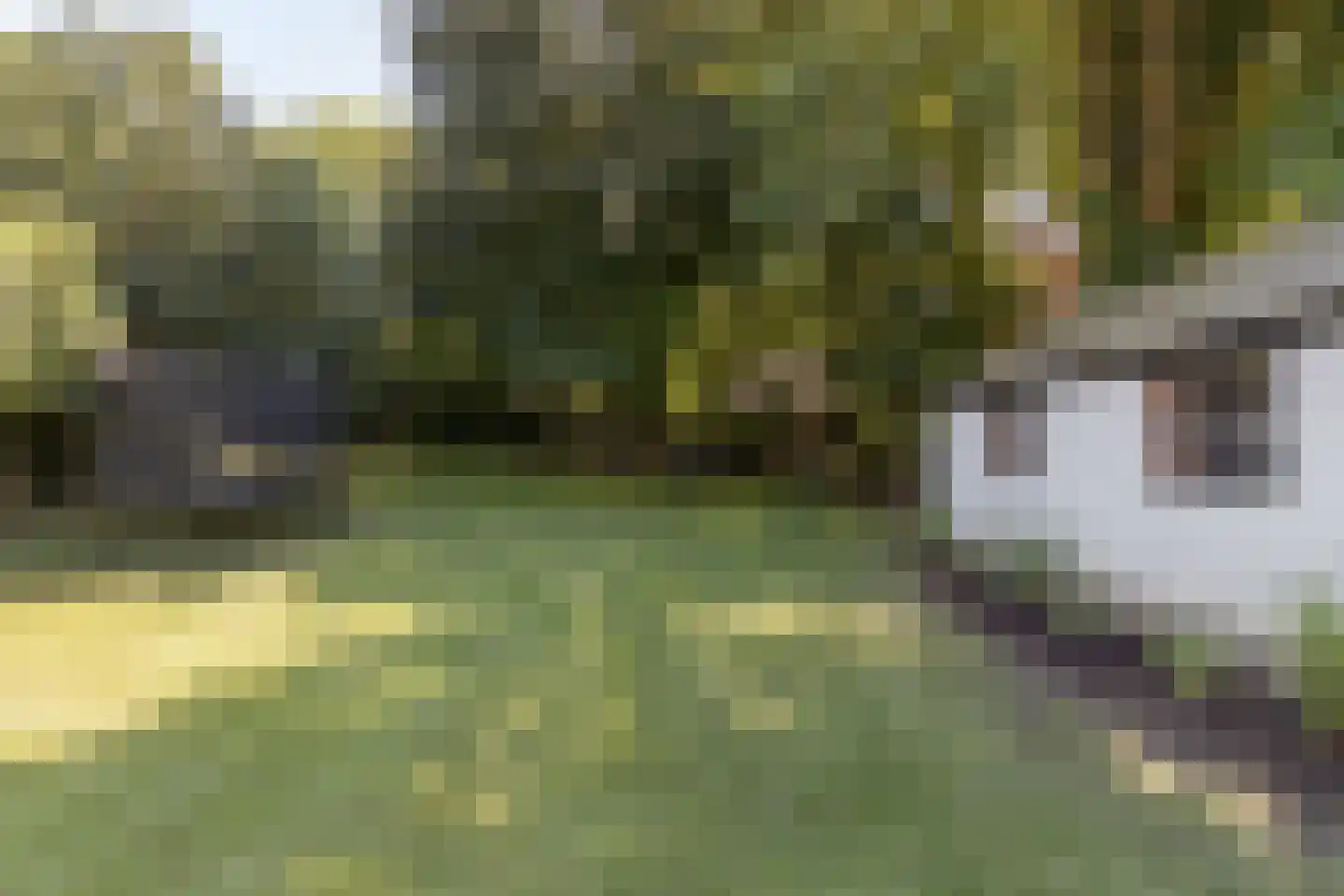 Kastanjelaan 12 Sittard thumbnail 56