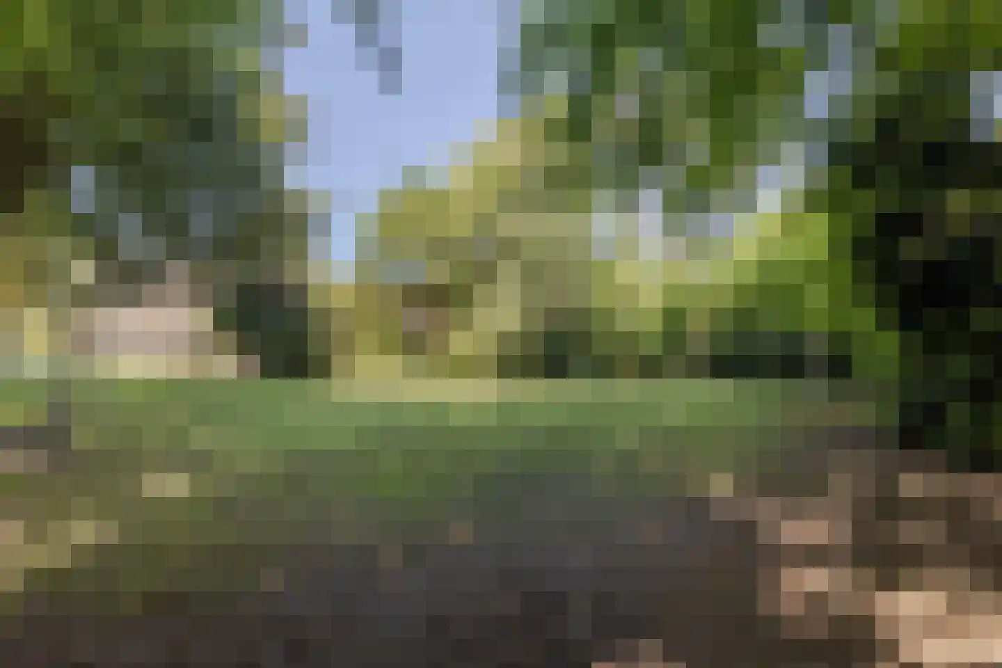 Kastanjelaan 12 Sittard thumbnail 6