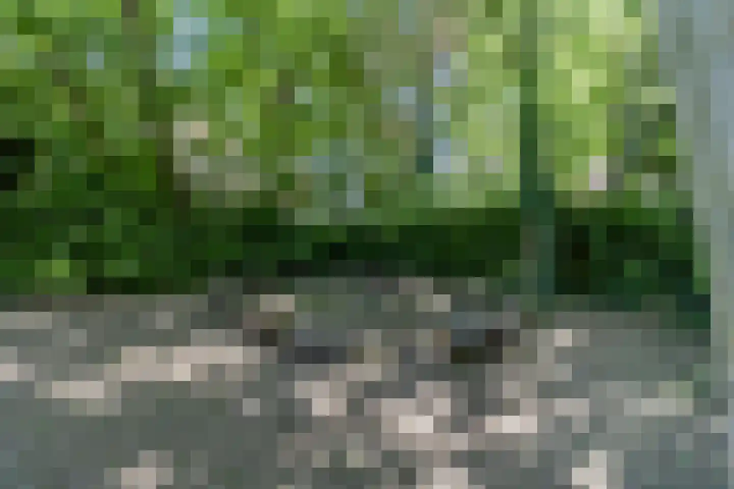 Kastanjelaan 12 Sittard thumbnail 61
