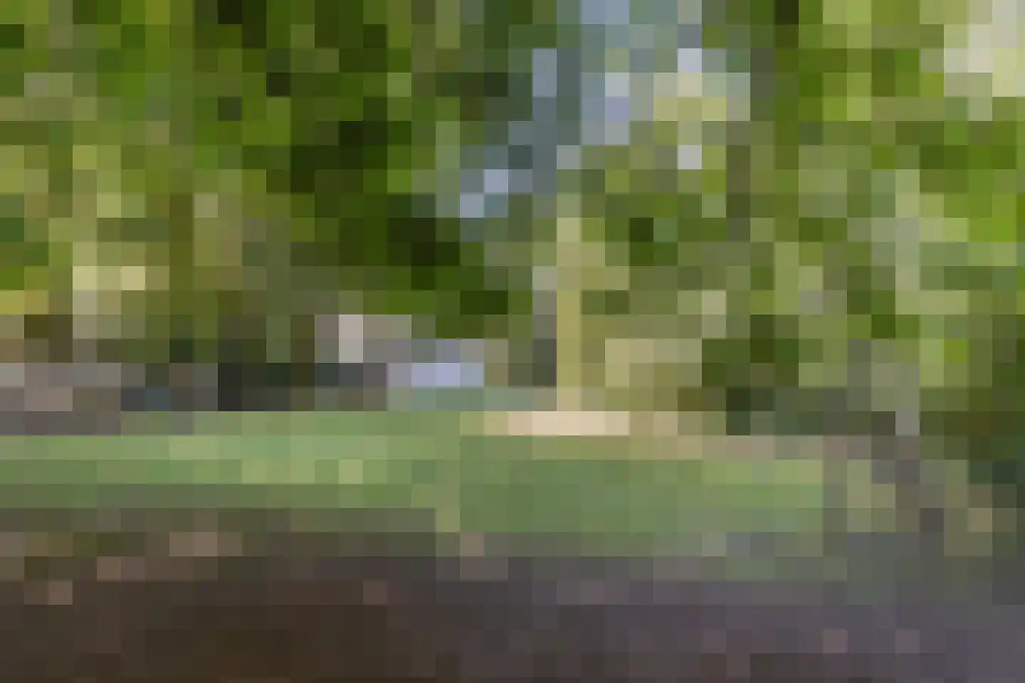 Kastanjelaan 12 Sittard thumbnail 62