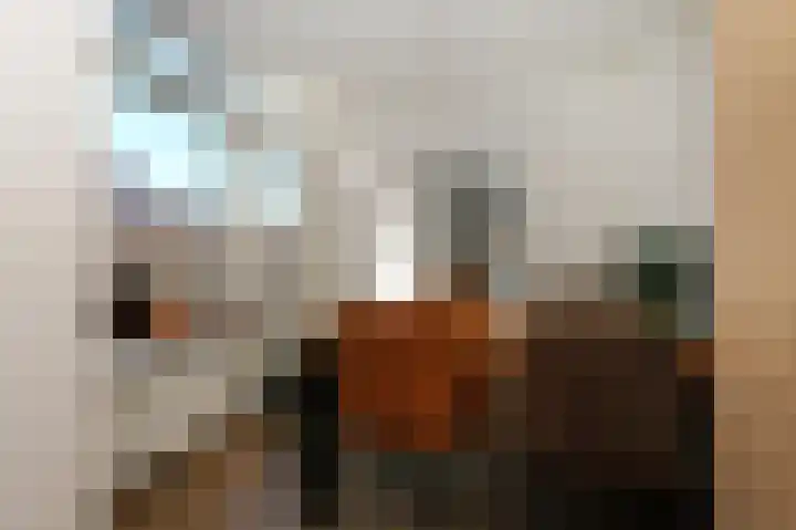 Kastanjelaan 12 Smilde thumbnail 13