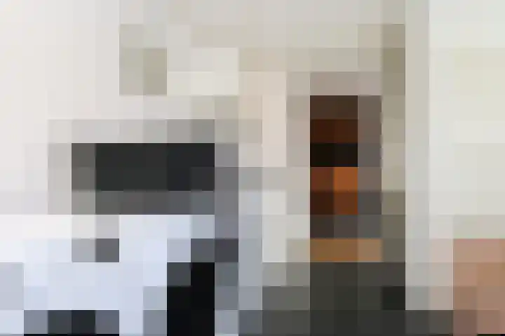 Kastanjelaan 12 Smilde thumbnail 16