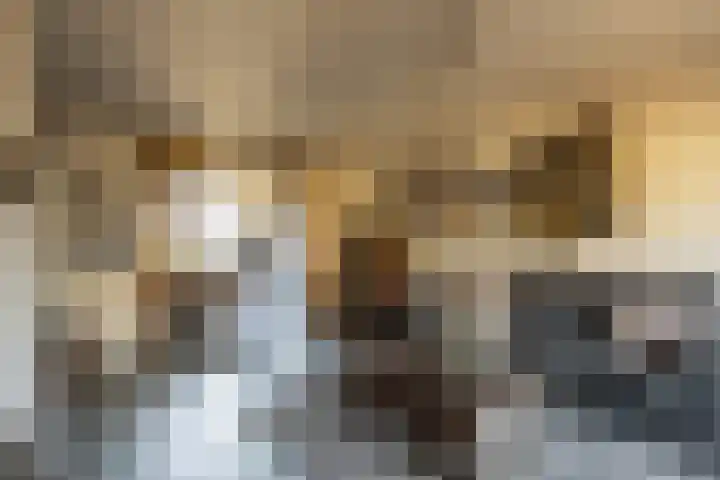 Kastanjelaan 12 Woudrichem thumbnail 11