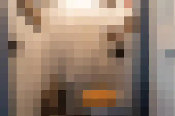 Kastanjelaan 12 Woudrichem thumbnail 7