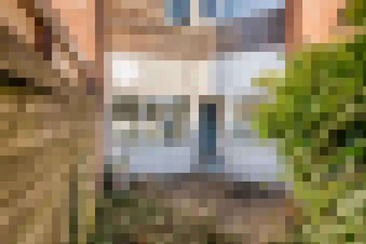 Kastanjelaan 13 Arkel thumbnail 17