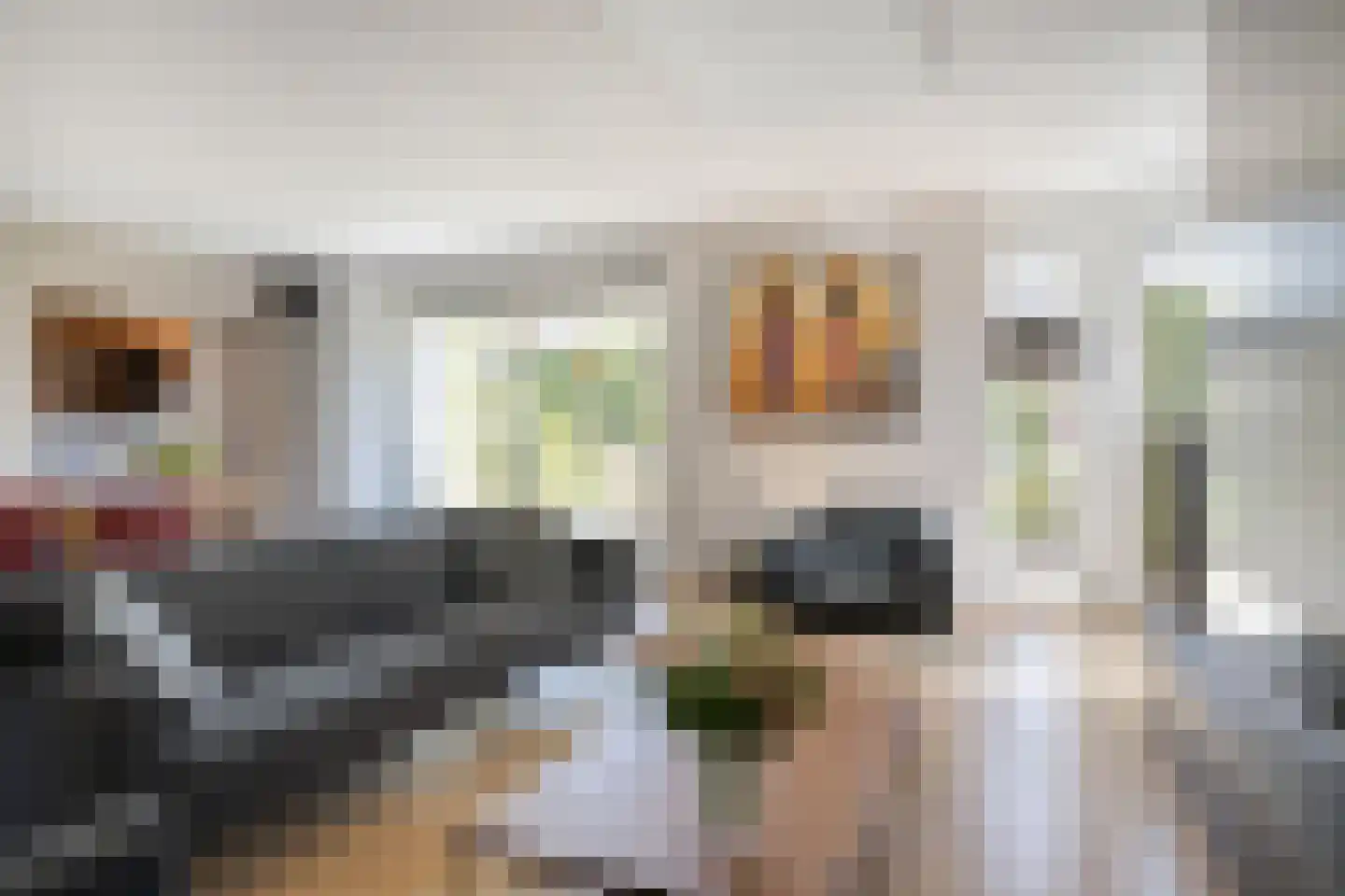 Kastanjelaan 13 Heerle thumbnail 14