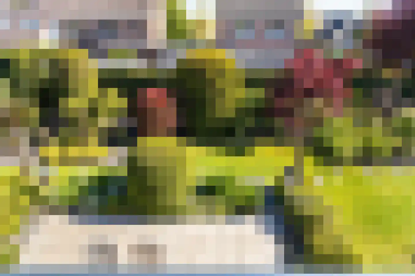 Kastanjelaan 13 Heerle thumbnail 44