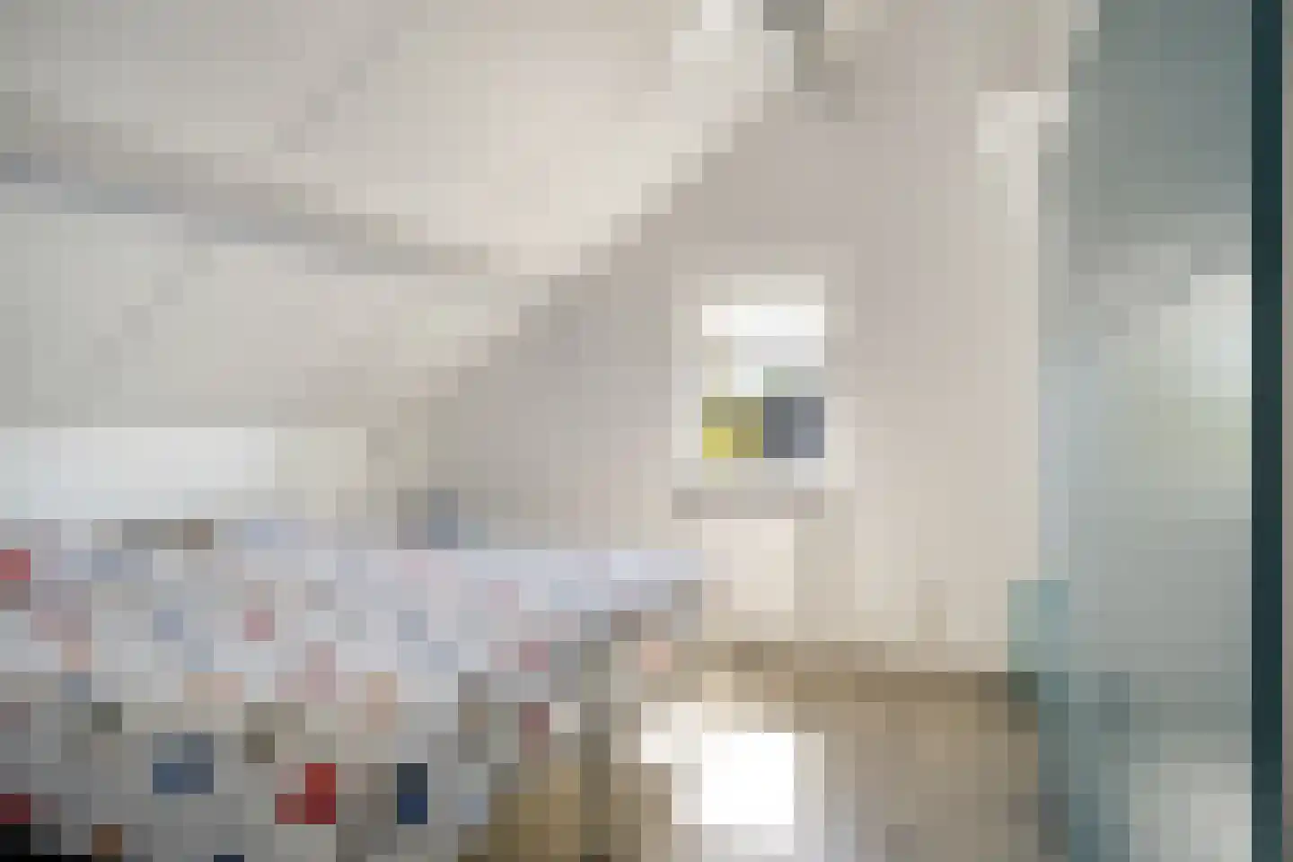 Kastanjelaan 13 Heerle thumbnail 56