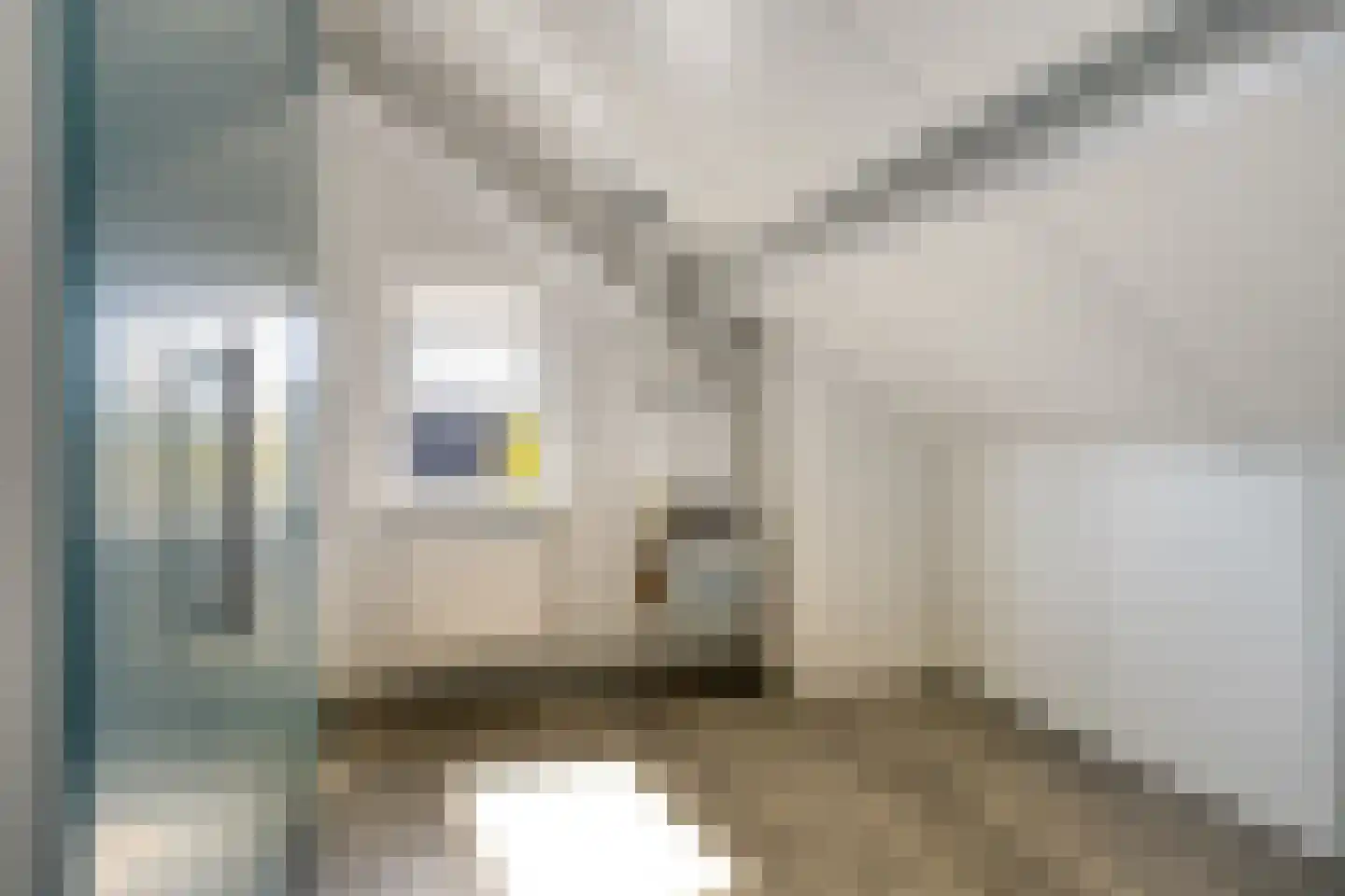Kastanjelaan 13 Heerle thumbnail 59