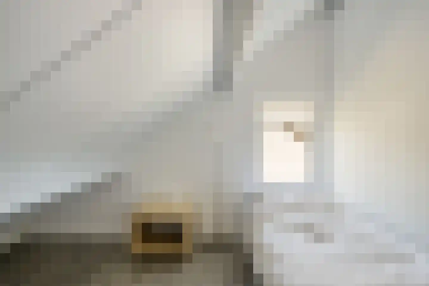 Kastanjelaan 13 Heerle thumbnail 60