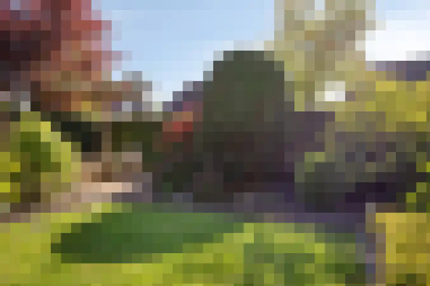 Kastanjelaan 13 Heerle thumbnail 75
