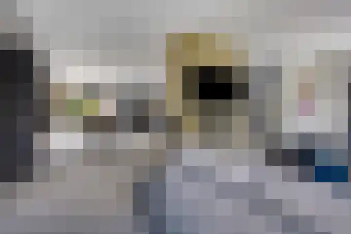 Kastanjelaan 13 Kampen thumbnail 11