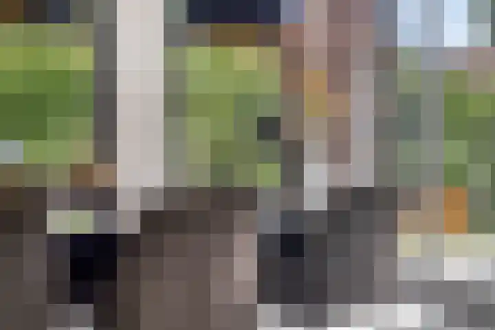 Kastanjelaan 13 Kampen thumbnail 15
