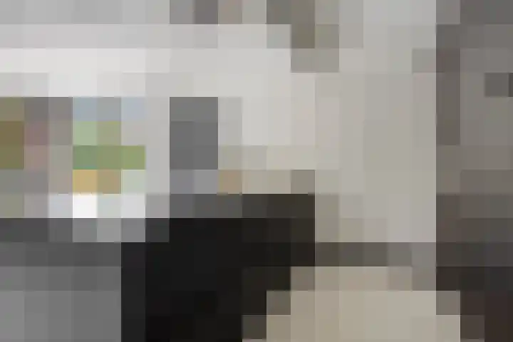 Kastanjelaan 13 Kampen thumbnail 19