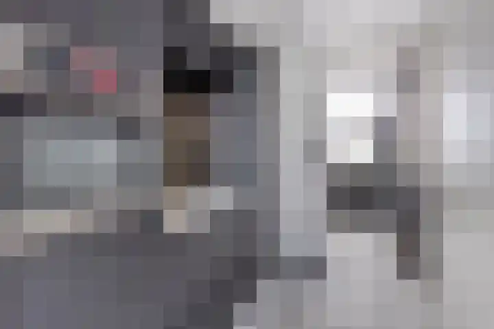 Kastanjelaan 13 Kampen thumbnail 23