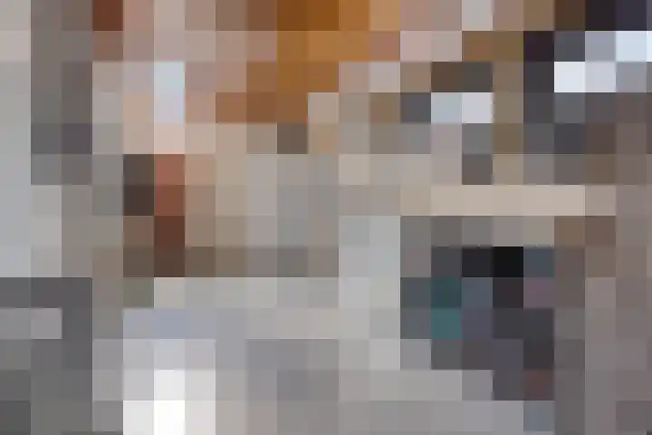 Kastanjelaan 13 Kampen thumbnail 26
