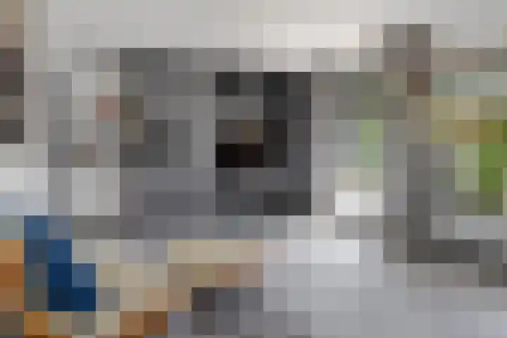 Kastanjelaan 13 Kampen thumbnail 29