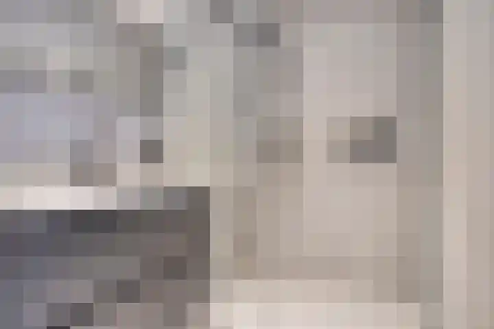 Kastanjelaan 13 Kampen thumbnail 30