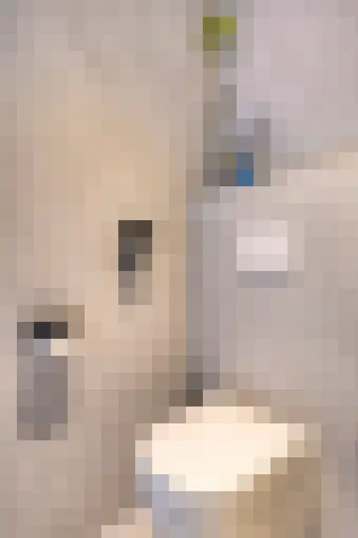 Kastanjelaan 13 Kampen thumbnail 32