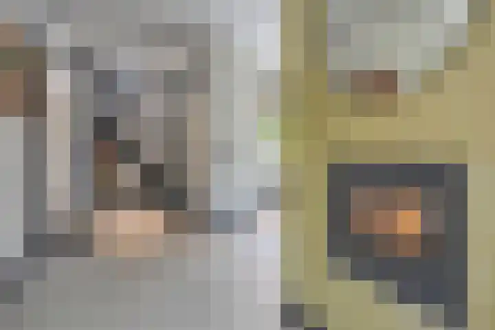 Kastanjelaan 13 Kampen thumbnail 33