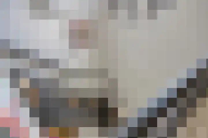 Kastanjelaan 13 Kampen thumbnail 37