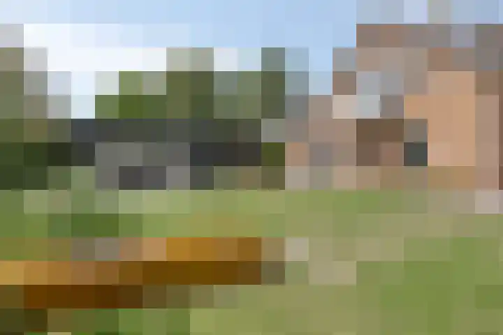 Kastanjelaan 13 Kampen thumbnail 4