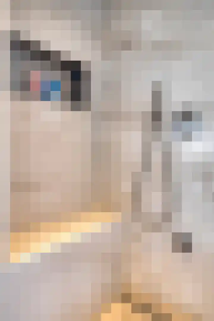 Kastanjelaan 13 Kampen thumbnail 41