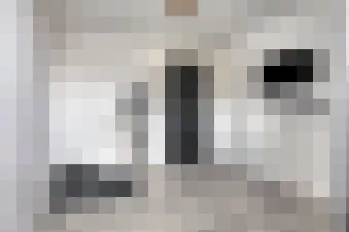 Kastanjelaan 13 Kampen thumbnail 46