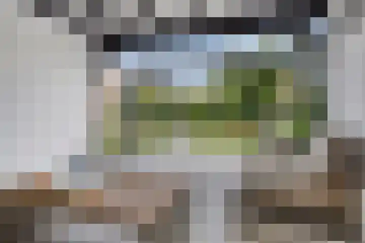 Kastanjelaan 13 Kampen thumbnail 5