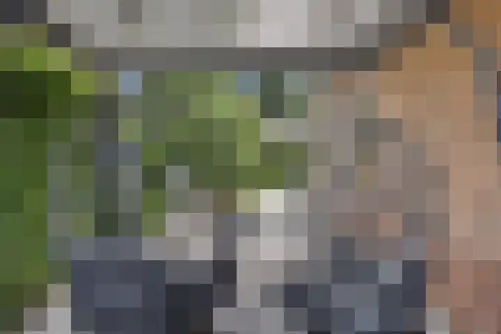 Kastanjelaan 13 Kampen thumbnail 55