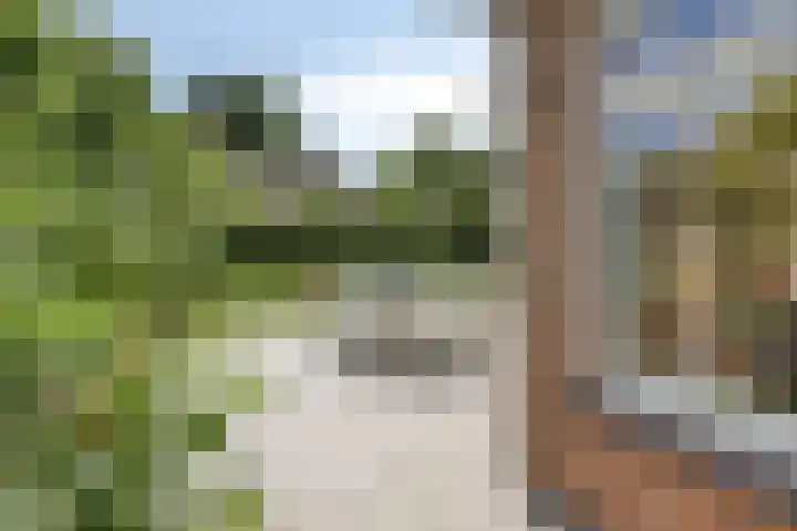Kastanjelaan 13 Kampen thumbnail 56