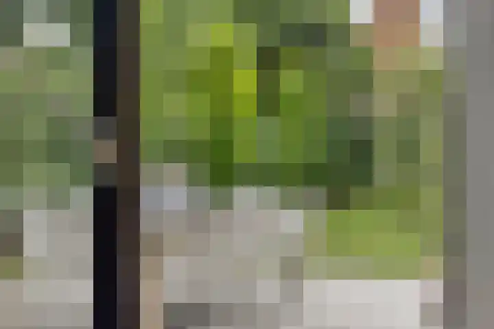 Kastanjelaan 13 Kampen thumbnail 64