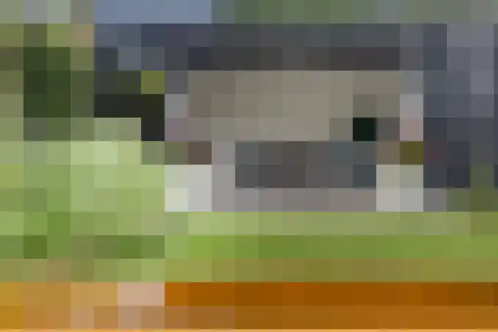 Kastanjelaan 13 Kampen thumbnail 66