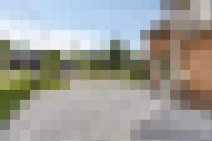 Kastanjelaan 13 Kampen thumbnail 70