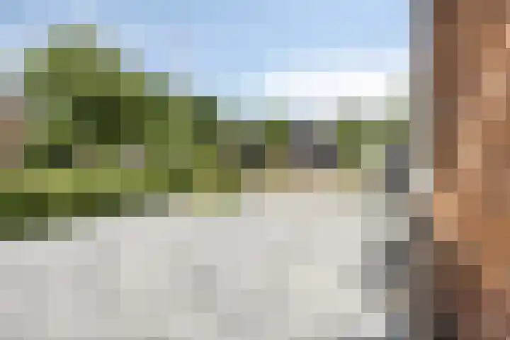 Kastanjelaan 13 Kampen thumbnail 72