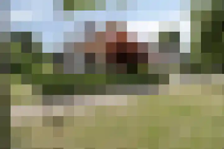 Kastanjelaan 13 Kampen thumbnail 73