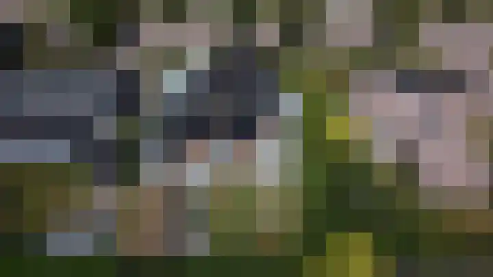 Kastanjelaan 13 Kampen thumbnail 81