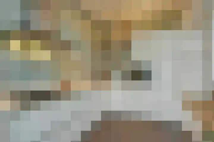 Kastanjelaan 13 Lochem thumbnail 12