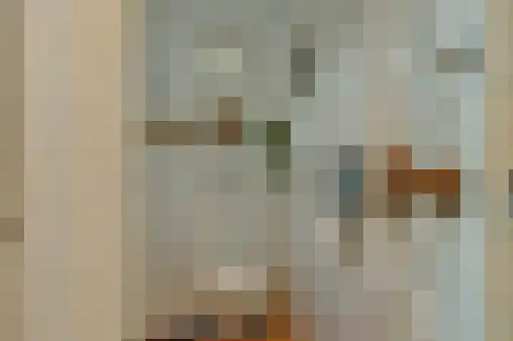 Kastanjelaan 13 Lochem thumbnail 13