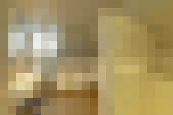Kastanjelaan 13 Lochem thumbnail 20