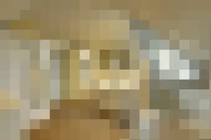 Kastanjelaan 13 Lochem thumbnail 21