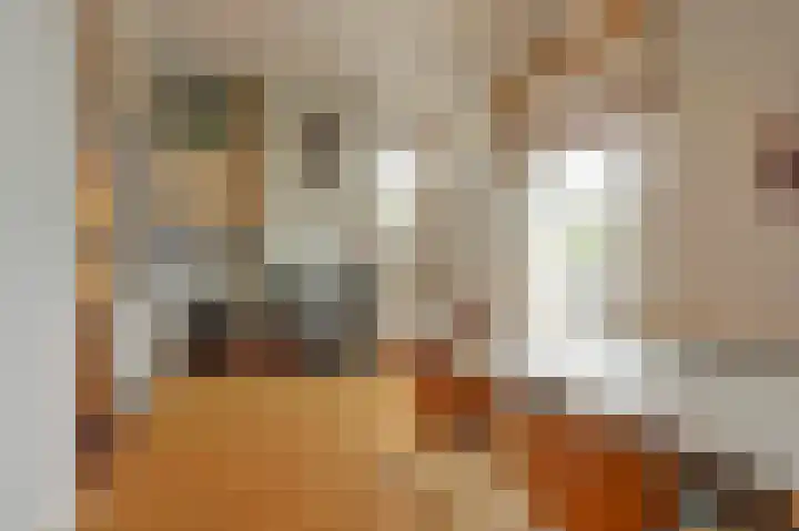 Kastanjelaan 13 Lochem thumbnail 8