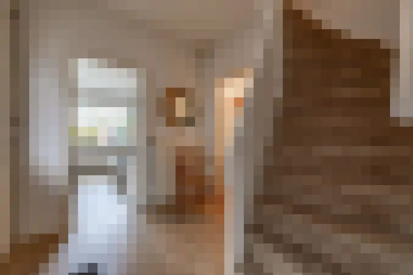 Kastanjelaan 13 Stadskanaal thumbnail 13
