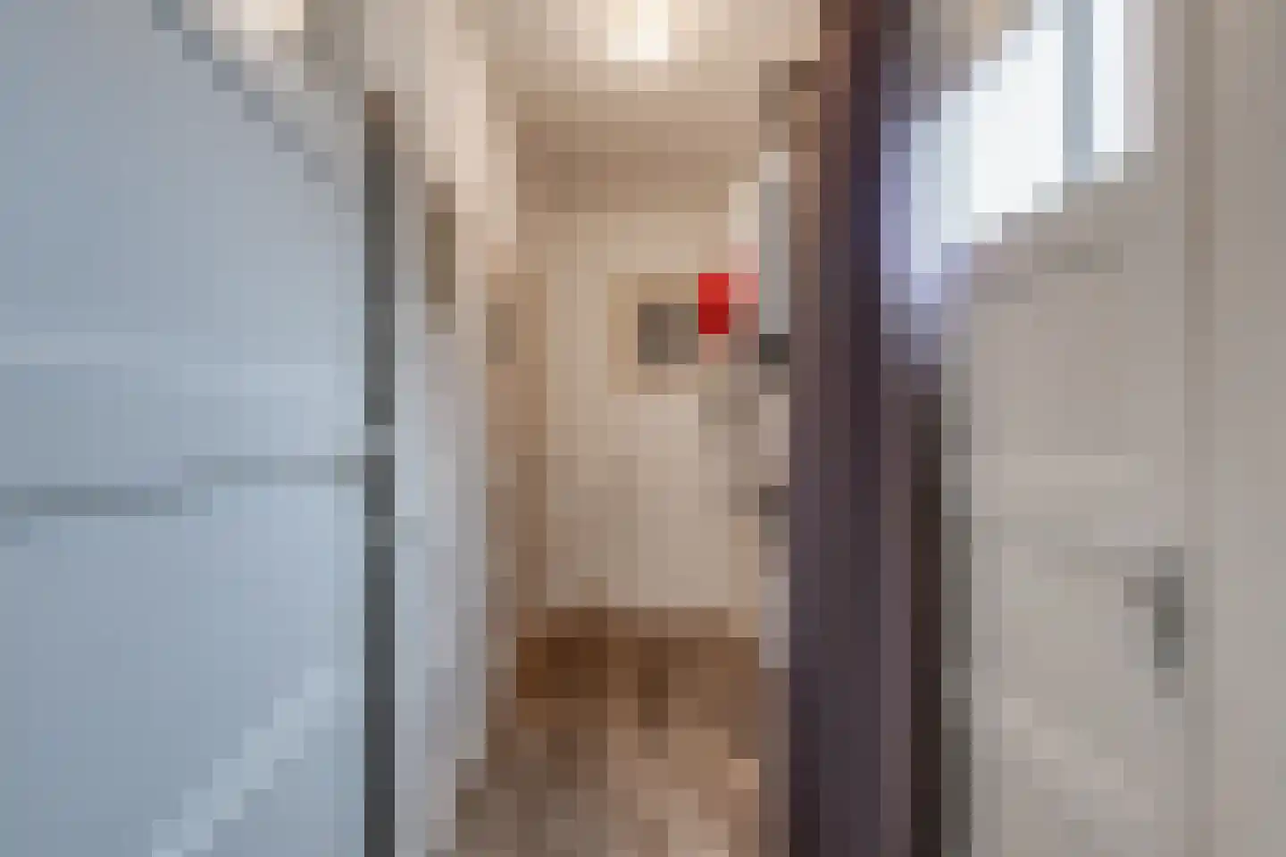 Kastanjelaan 13 Stadskanaal thumbnail 20