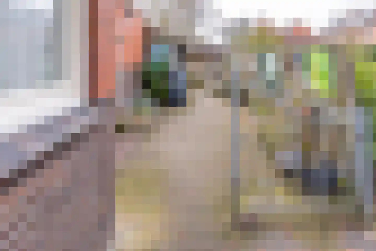 Kastanjelaan 13 Stadskanaal thumbnail 32