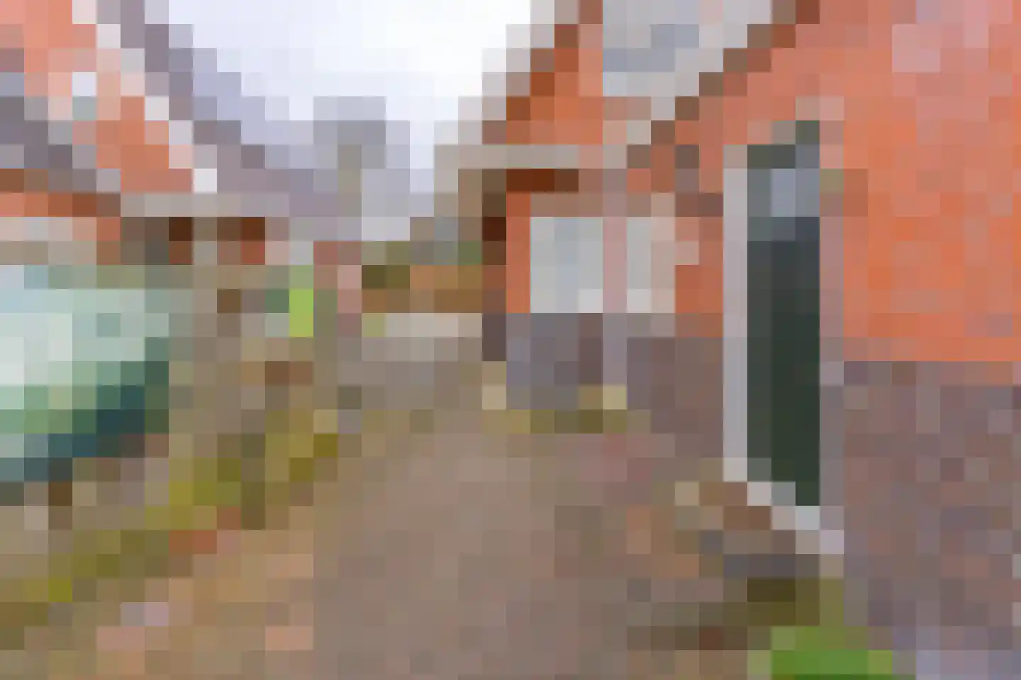 Kastanjelaan 13 Stadskanaal thumbnail 34